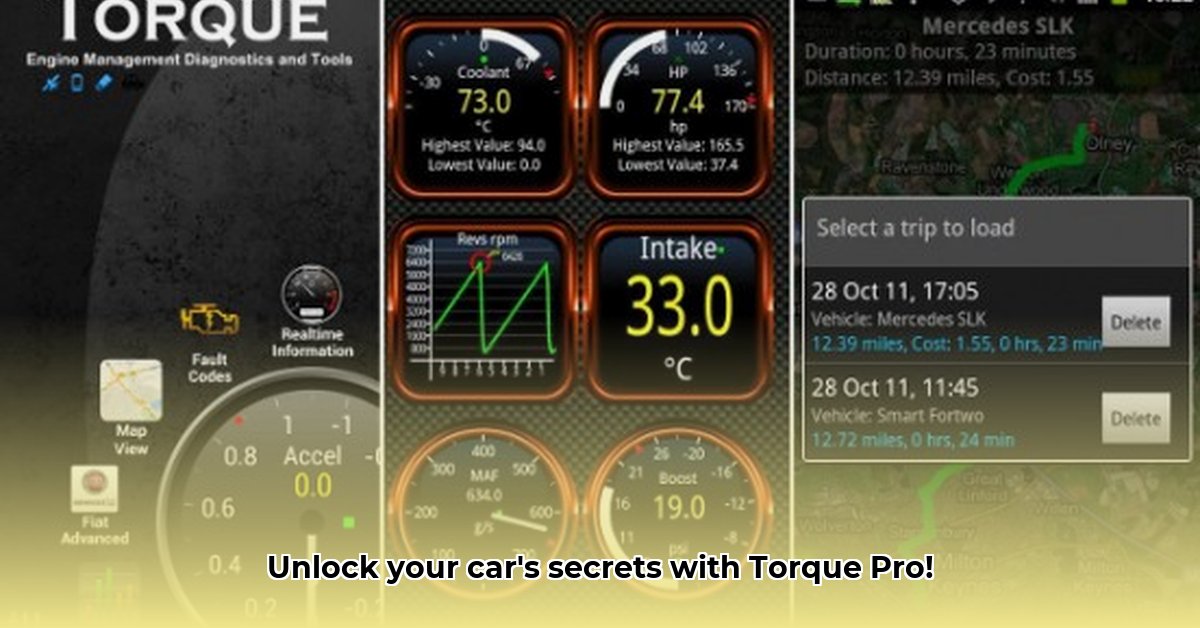torque-apk-pro